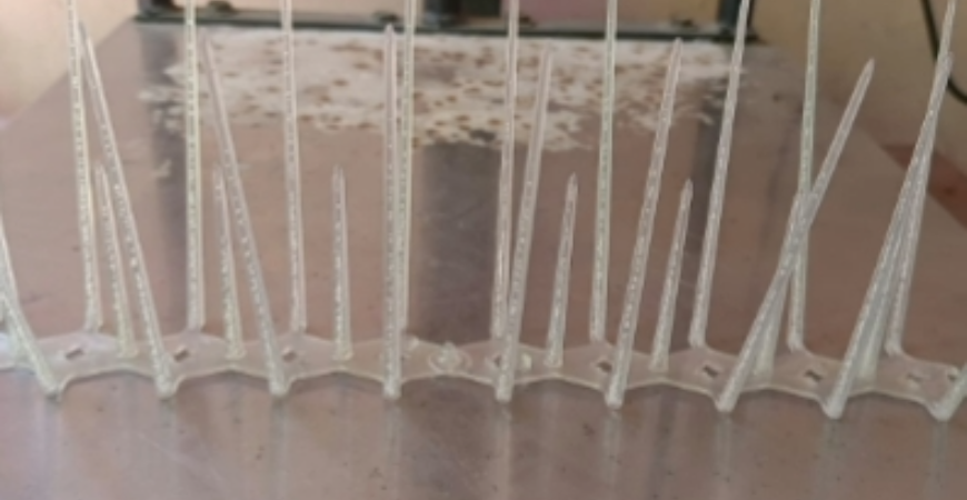 BIRD SPIKES IN BENGALURU
